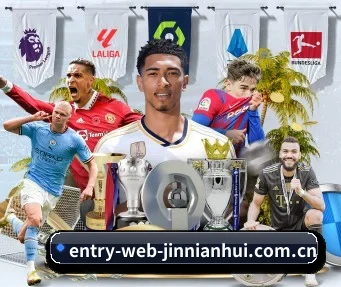 m.entry-web-jinnianhui.com.cn APP